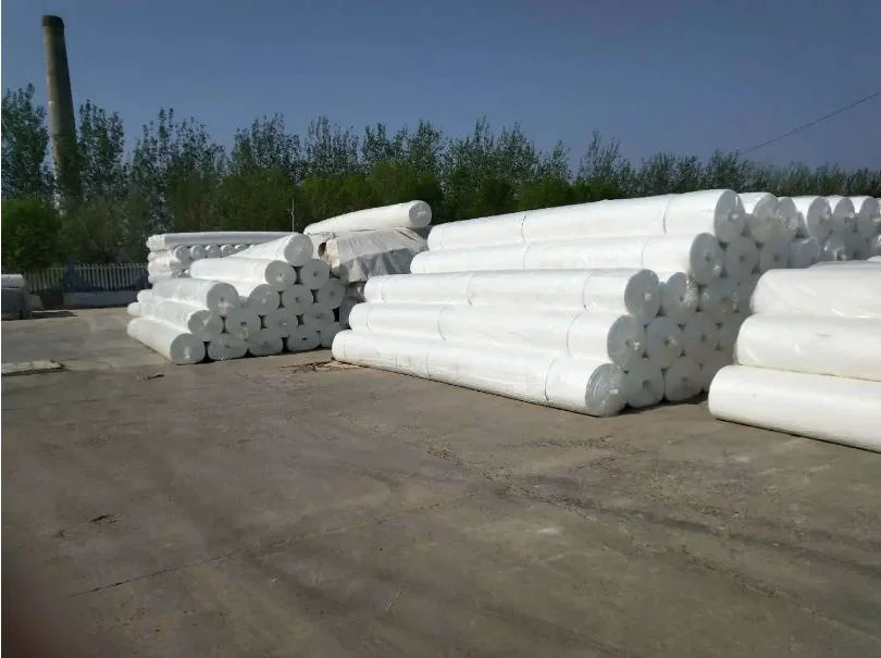 Good Price PP Non Woven Geotextile, Filament Long/Short Fiber Non Woven Fabric Roll, Polypropylene Needle Punched Geotextile for Water Tank/Road Construction