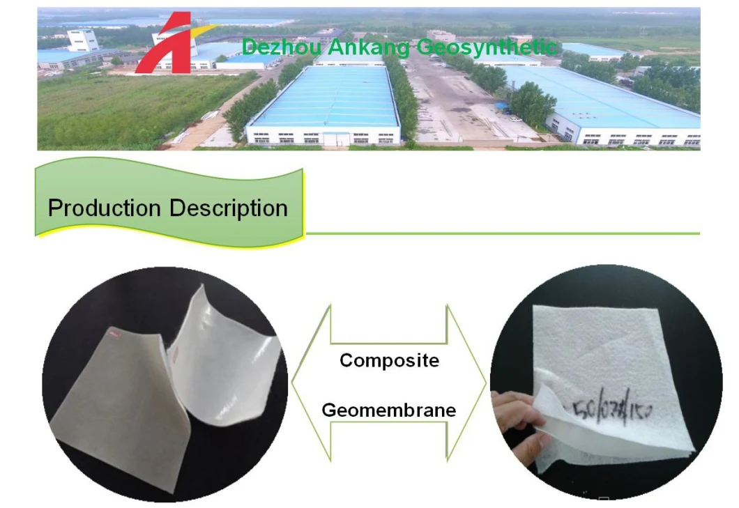 Composite HDPE Geomembrane with Geotextile
