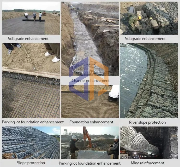 Wholesale PP Biaxial Geogrid Plastic Civil Engineering Construction Geogrids for Reinforcement Road Geogrid Cheap Prices