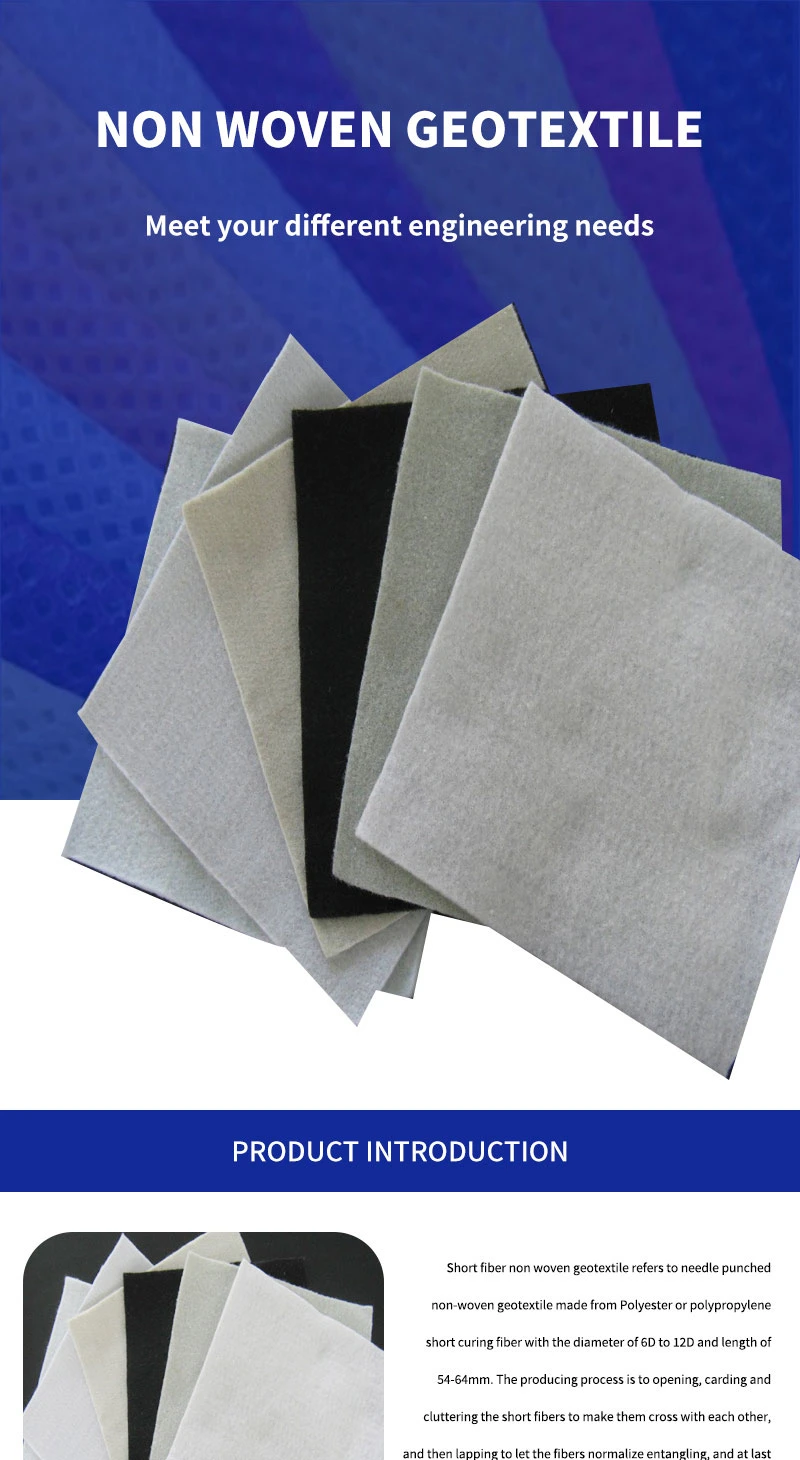 China Manufacturer CE/ASTM/GB Standards PP/Pet Nonwoven Needle Punched Fabric Geotextile for Agriculture Landfill Lake Mine Tunnel Road Construction