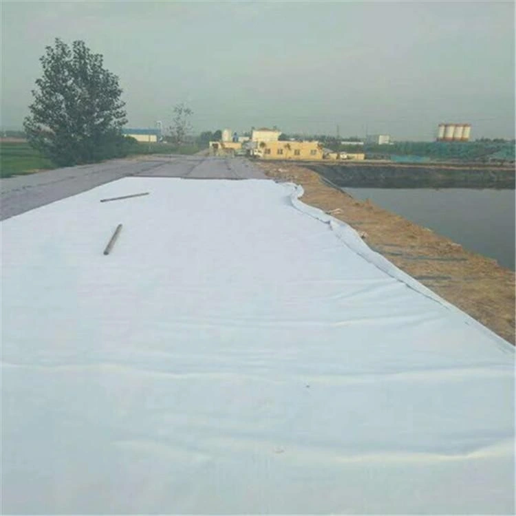 Professional 100% PP Material Non Woven Geotextile for Reinforcement Fabric