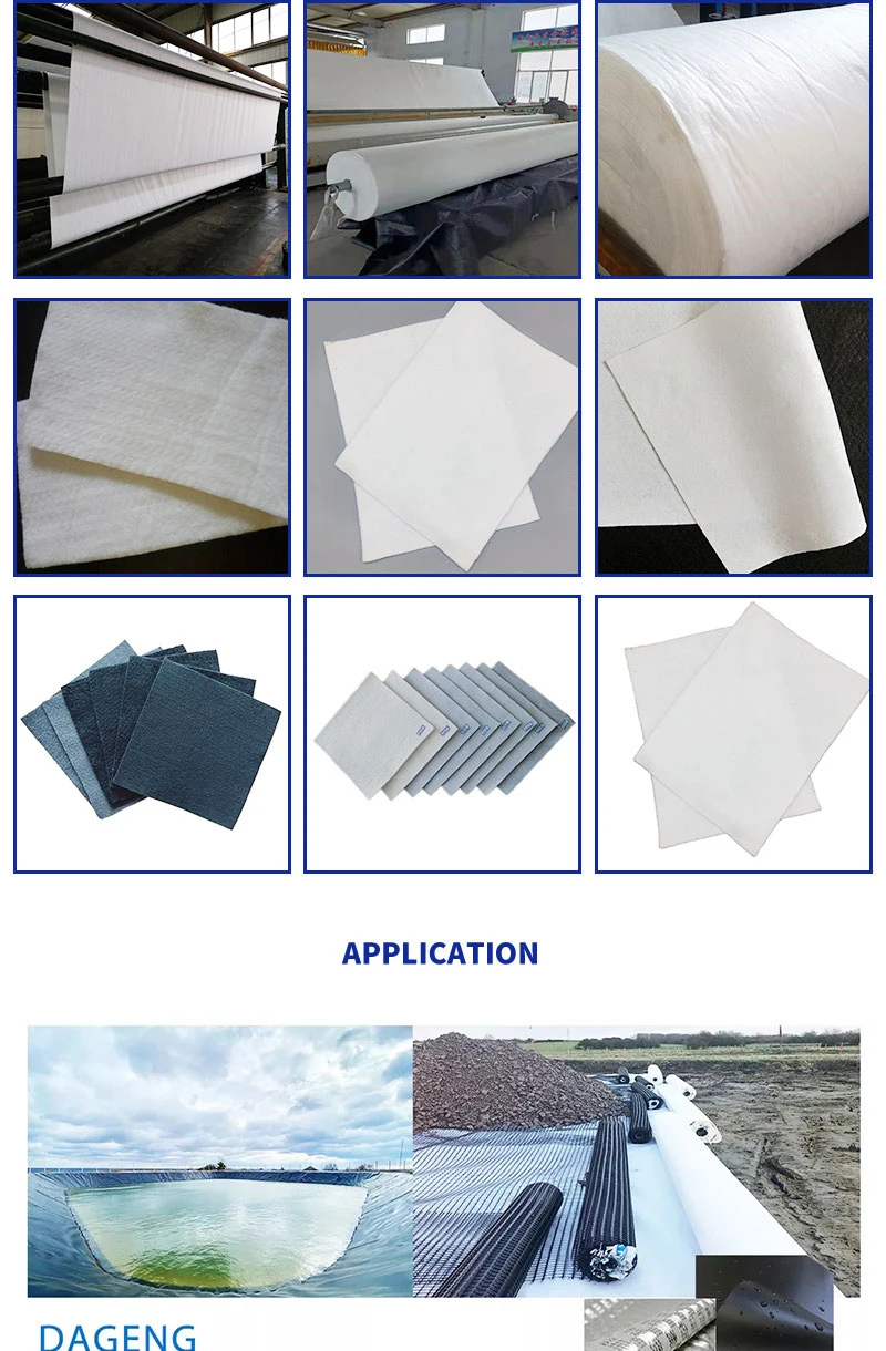 China Manufacturer CE/ASTM/GB Standards PP/Pet Nonwoven Needle Punched Fabric Geotextile for Agriculture Landfill Lake Mine Tunnel Road Construction