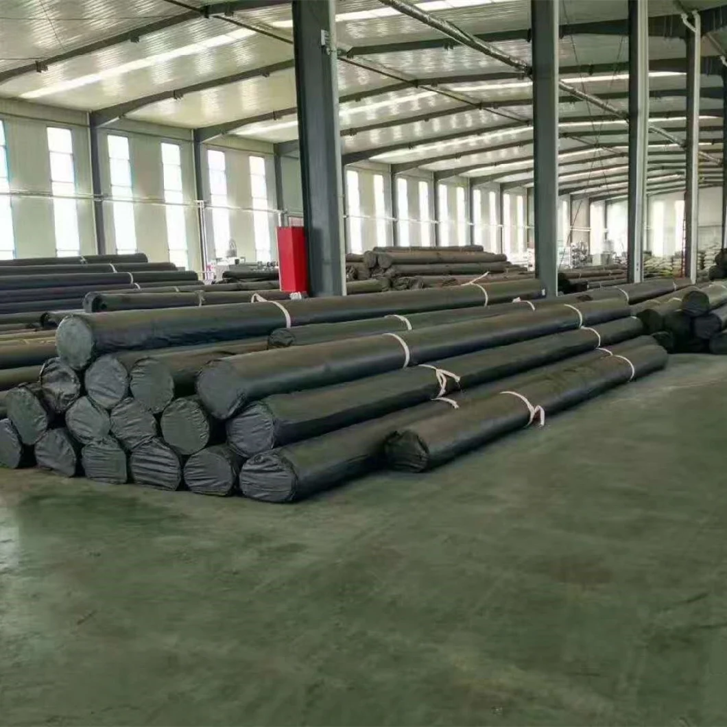 LDPE Geomembranes Used in Container Swimming Pool