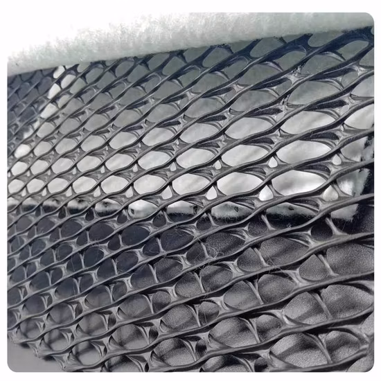 Geocomposite Drainage Geonet