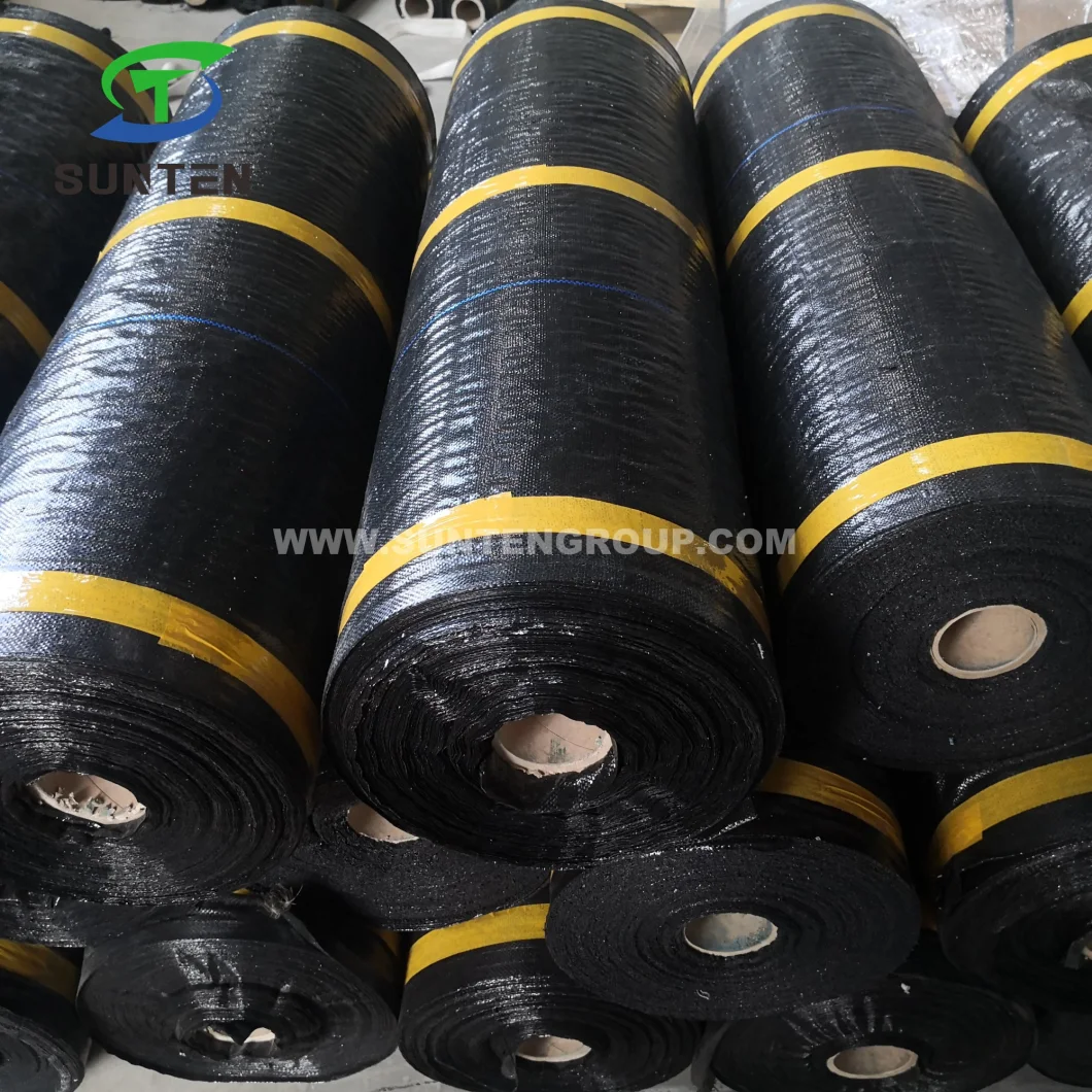 UV Stablized Green Durable PP Woven Silt Fence/Geotextile/Weed Mat