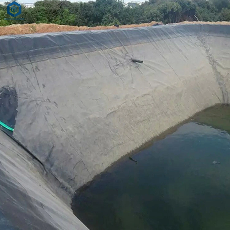 Fatory Price Plastic Film 0.5mm 1mm 2mm HDPE LDPE LLDPE Aquaculture Agriculture Dam Landfill Fish Pond Farm Tank Geomembrane Lining Pond Pool Liner Geomembrana