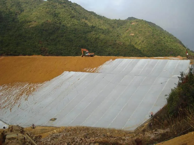 LLDPE Sheet Geomembrane for Fish Pond Liner, Drainage Geocomposite