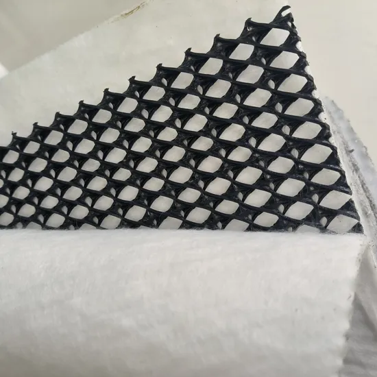 Plastic 3D Composite Drainage Geonet for Road and Slop