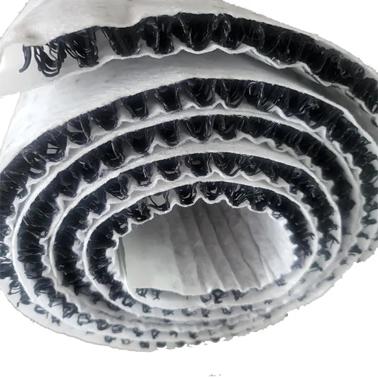 Manufacturer Geocomposite Geo Net Landfill Road Garden Drainage HDPE 3D Drainage Geonet Price