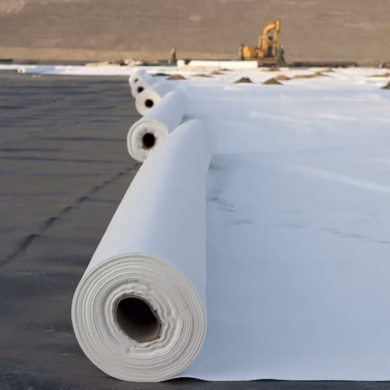 200g 300g Per M2 Filament Pet PP Non Woven Nonwoven Fabric Geotextile