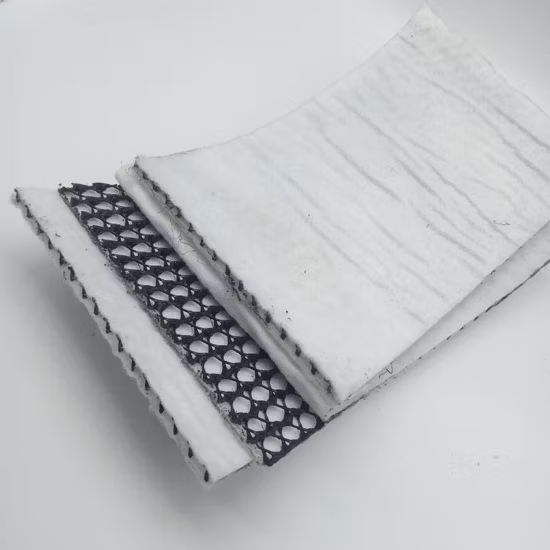 HDPE 3D Composite Drainage Geonet Used in Landfill Network