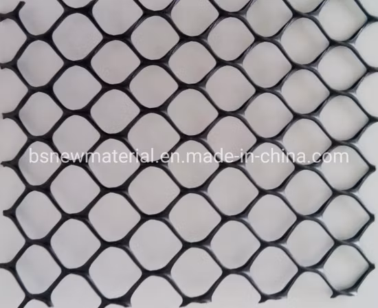 Plastic HDPE Geonet for Retaining Wall Good Price