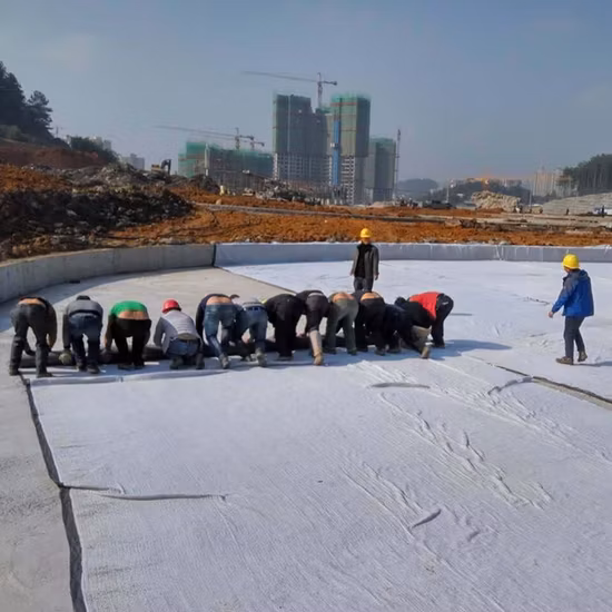 PP Nonwoven Geotextile Polypropylene Nonwoven Geotextile Pet Nonwoven Geotextile Polyester