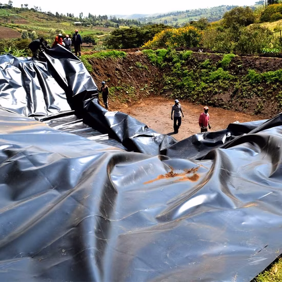 HDPE LDPE LLDPE PVC Water Pond Plastic Polyethylene Geomembrane Impermeable Liner Sheet for Fish Farming Pond