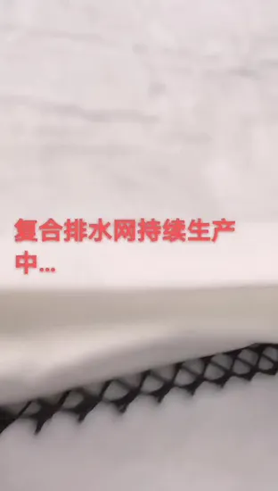 3D Composite Drainage Geonet for Pavement Construction