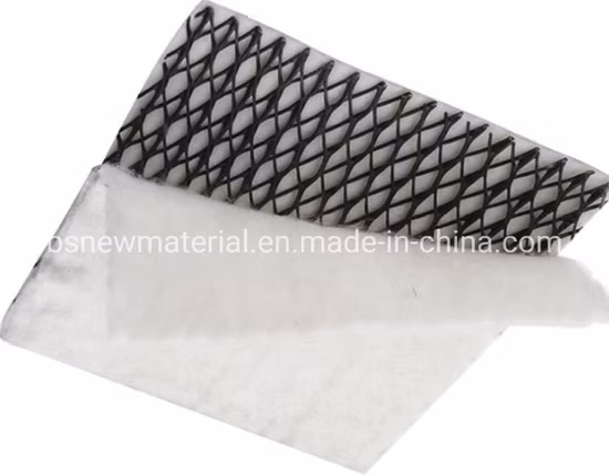Drainage HDPE Plastic Geonet Good Price