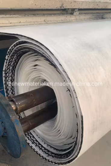 HDPE Bi-Planer Drainage Composite Geonet