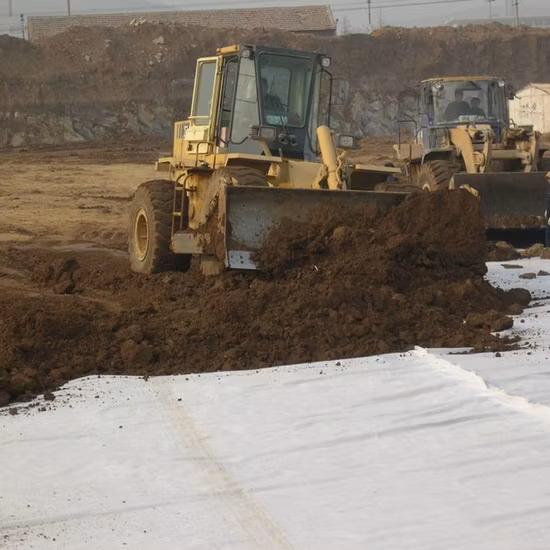 100% Polyester Geotextile, Non Combustible Pet Nonwoven Geotextile, 5mm Needle Punched Geotextile for Home Textile/Building Material/Waterproof Material